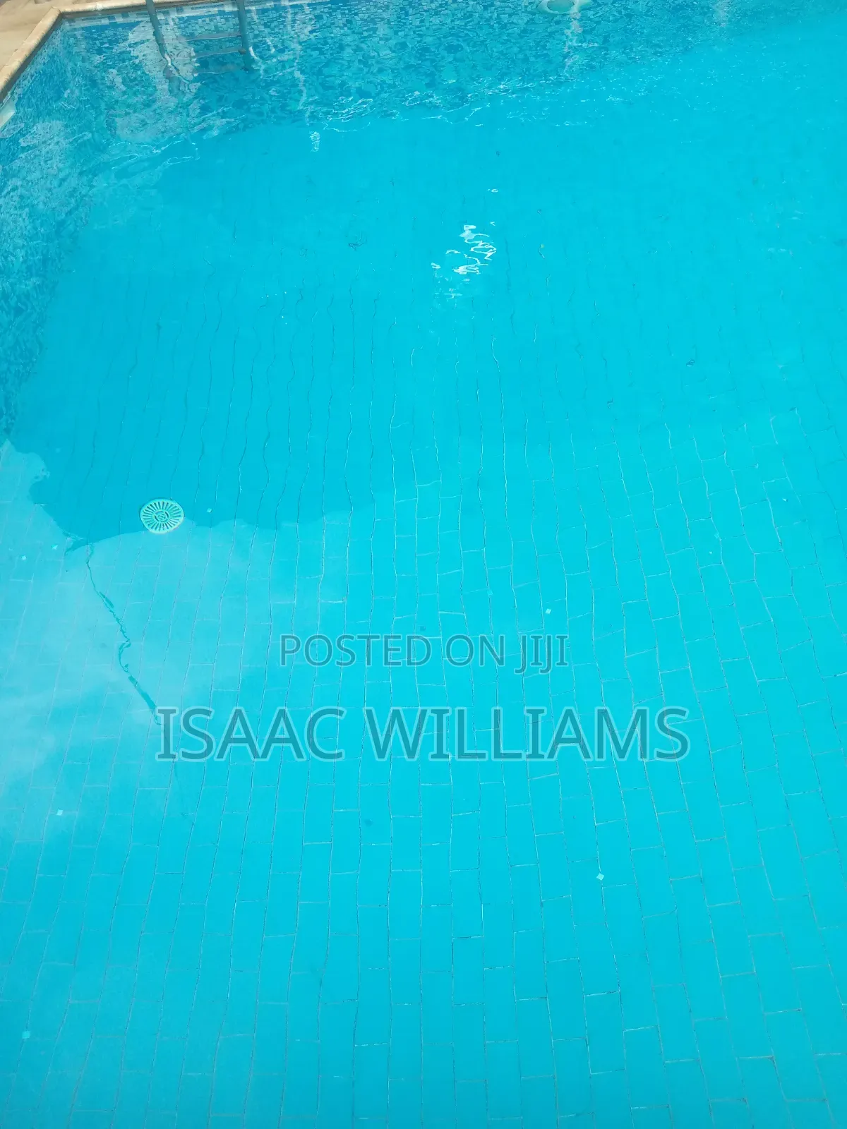 Pool Maintenance