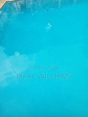 Pool Maintenance