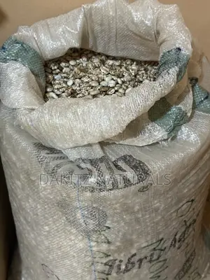 Castor Seed 100kg Bag