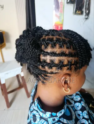 Natural Hair Twist
