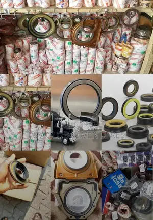 We Deal on Oil Seal