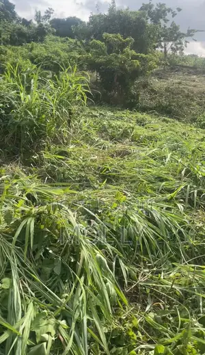 1 Plot of Land