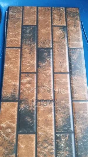 25by40 Wall Tiles and 40by40 Floor Tiles