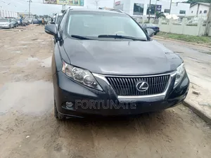 Lexus RX 2010 Gray
