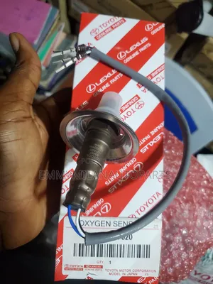Briscoe Oxygen Sensor Venza