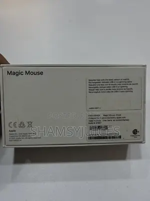 Apple Magic Mouse2