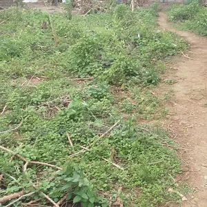 Full Plot of Land at Peace Estate