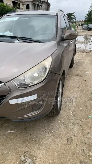 Hyundai Ix35 2012 Brown