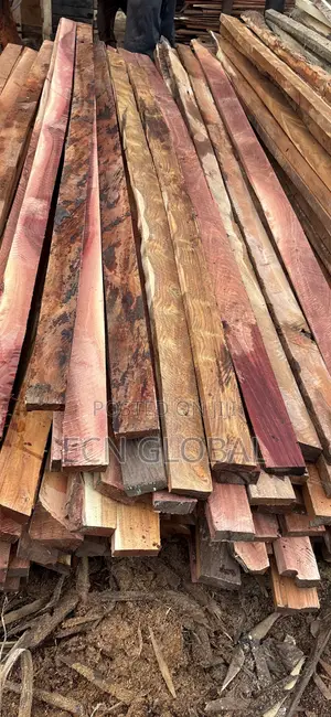 Timber Wood