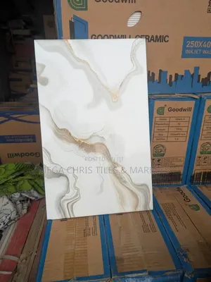 25x40 Wall Tiles