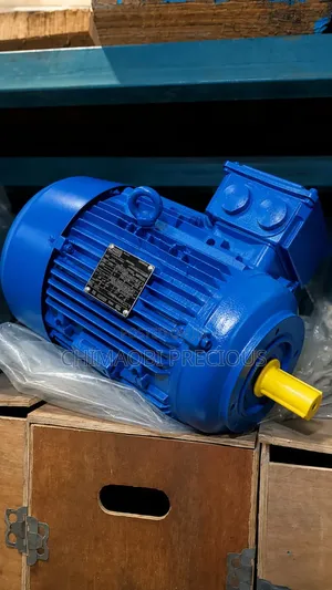 Electric Motor Weg