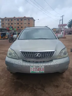 Lexus RX 2008 Gray