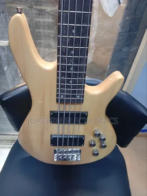 FENDER Professional 5 Strings Bass Guitar