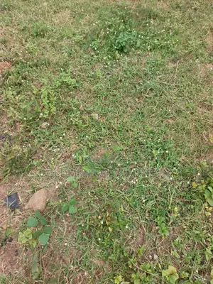 1.0 Hectare of Land Fence and Gated for Sale in Jabi. Abuja – Nigeria
