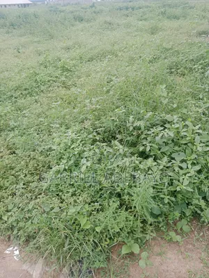 90 Acres of Land
