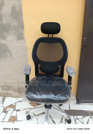 Office Chair (Ergonomic) D710