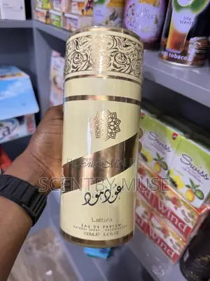 Oud Mood Perfume