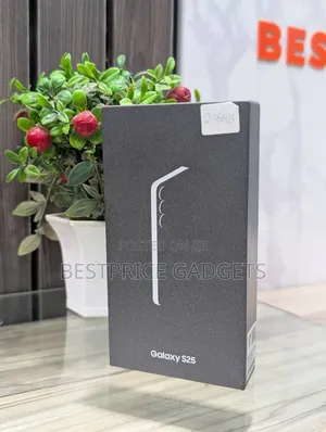 New Samsung Galaxy S25 256 GB