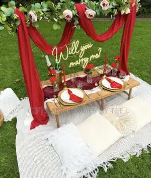 Picnic Style Proposal Decor