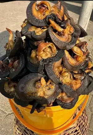 Export Standard Oven Dried Snails