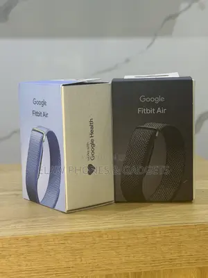 Google Fitbit Air