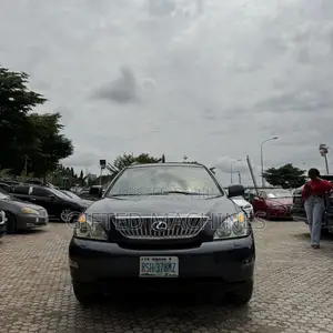 Lexus RX 2005 Gray