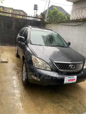 Lexus RX 2009 Gray