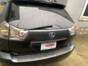 Lexus RX 2009 Gray