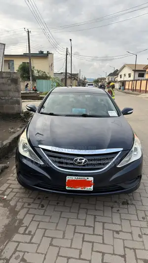 Hyundai Sonata 2014 Blue
