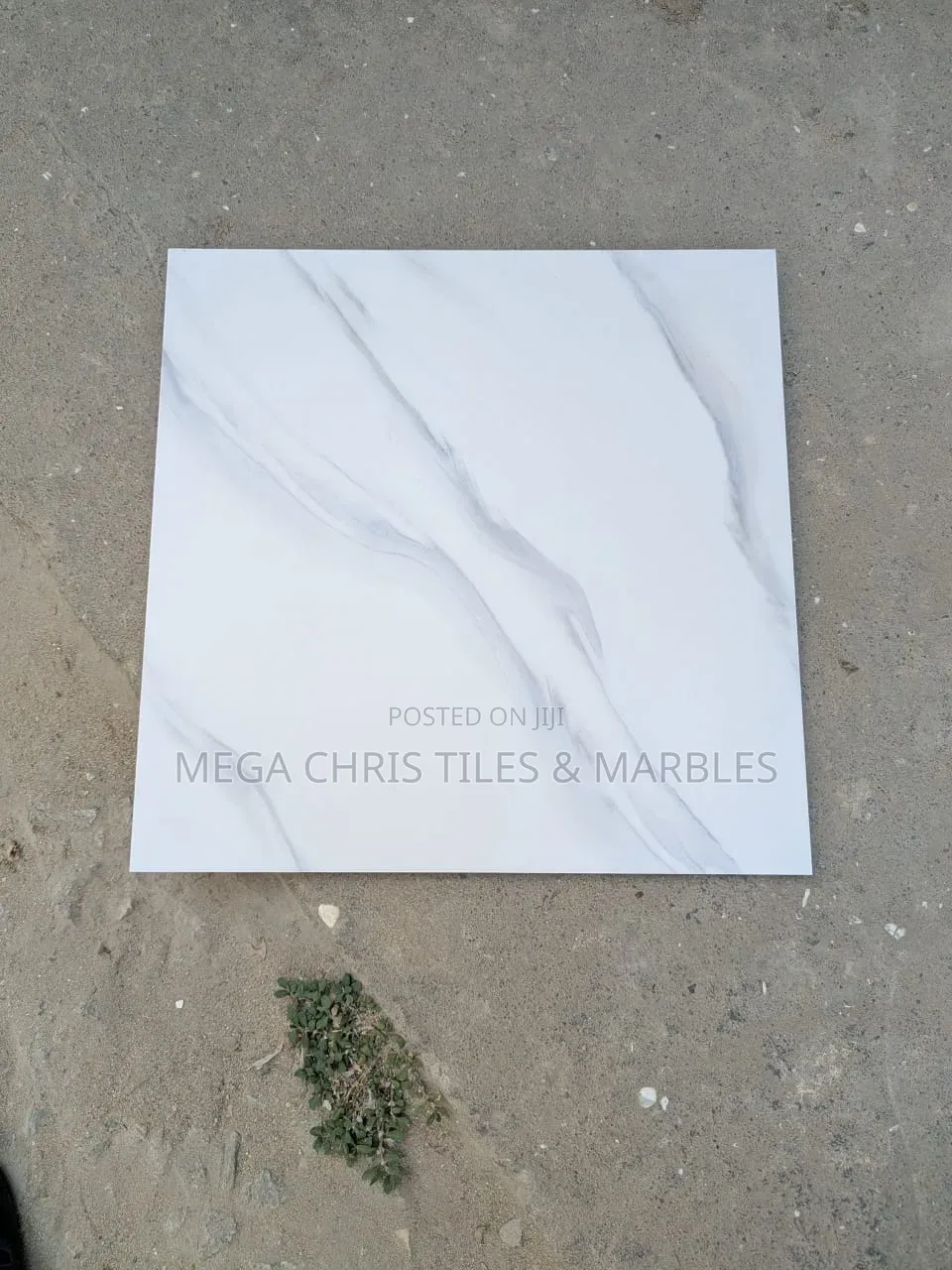 40x40 Floor Tiles