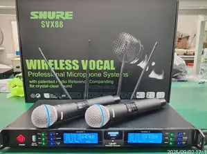 Professional Wireless Microphone