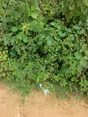 600sqm. 3bedroom Bungalow Estate Plot for Sale in Lugbe