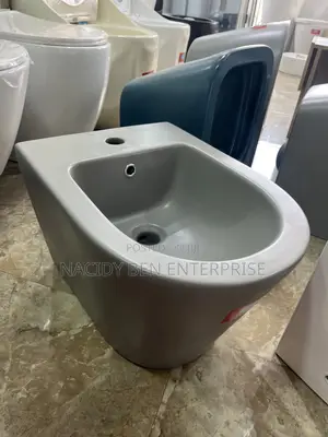 Grey Bidet Closet