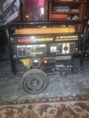 The Sumec Firman SPG3000 Generator