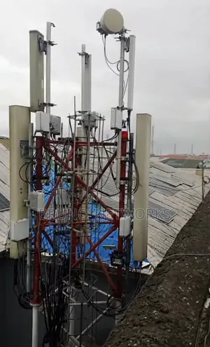 Telecommunication Mast Installation Maintenance Services