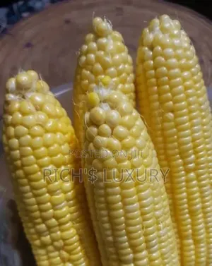 Sweet Corn /Kg