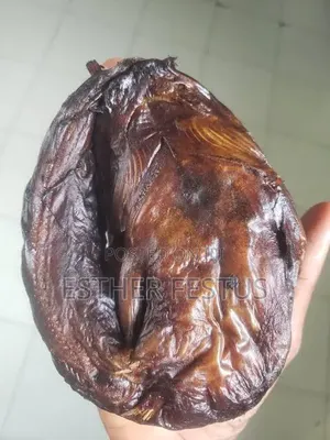 Dried Catfish, Export Standard