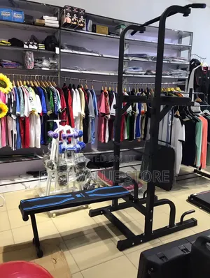 Blue Colour Power Tower With Sit Up Bench