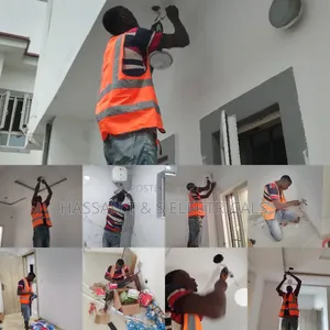 Professional Electrician