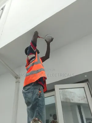 Professional Electrician
