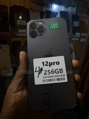 Apple iPhone 12 Pro 256 GB Gray