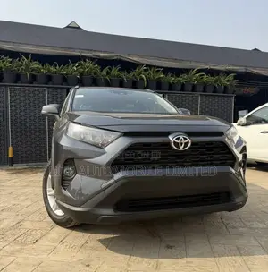 Toyota RAV4 XLE AWD 2020 Gray