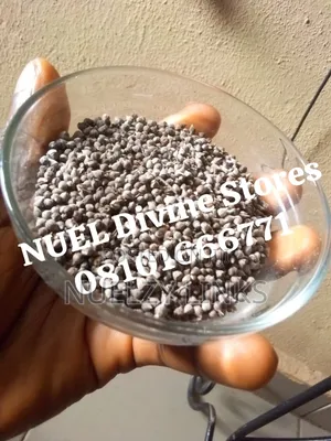 Vitex Seeds (Chaste Berry)