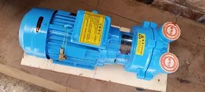 Original Vacuum Pump With Three Phase Electric Motor 3kw 4hp
