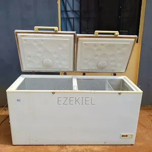 Clean Double Door Freezer