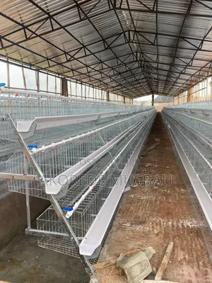 Wire Mesh for Cage