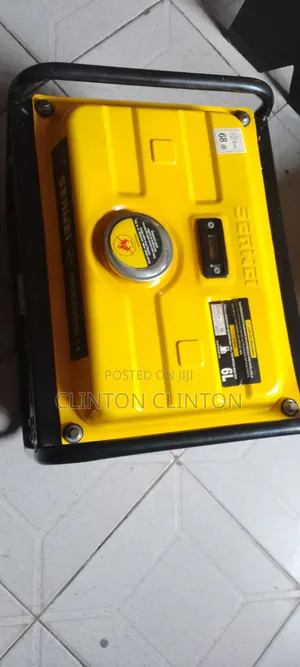Senwei Portable Generator