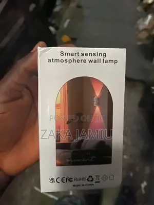 Smart Sensing Atmosphere Wall Lamp