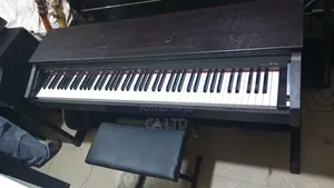 Casio AP - 45