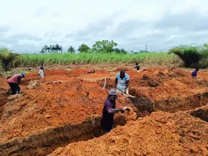 Builder Full Site Supervision and Project Manager